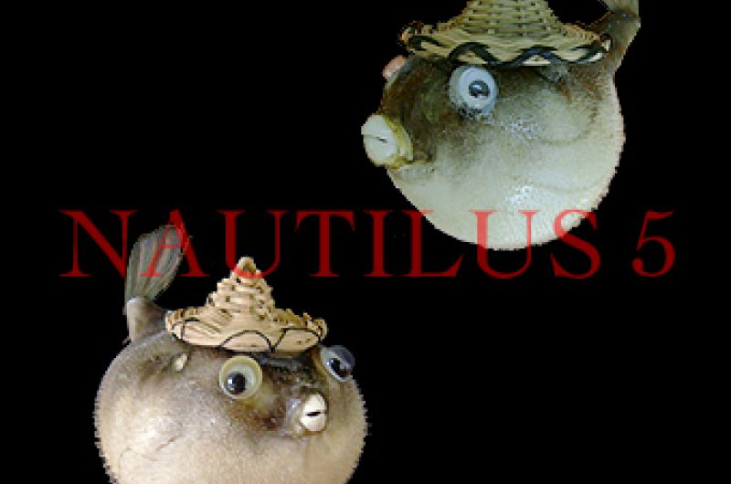 Blowfish 7-8 см